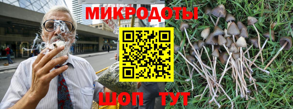 Псилоцибиновые грибы GOLDEN TEACHER Городец